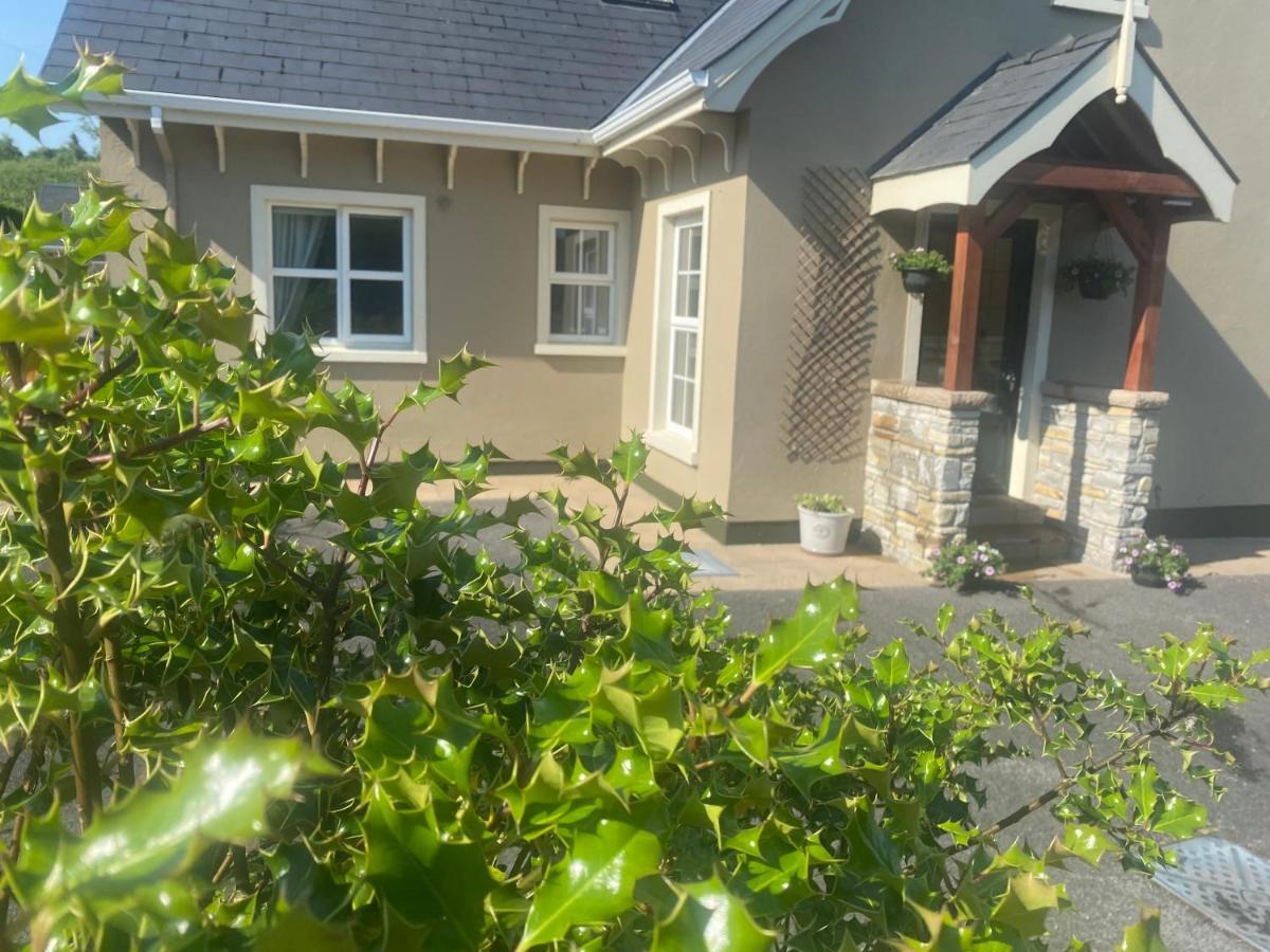 The Lodge Donegal Town المظهر الخارجي الصورة